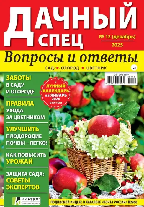 Дачный спец №12 / 2025