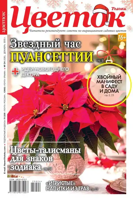 Цветок №24 / 2025