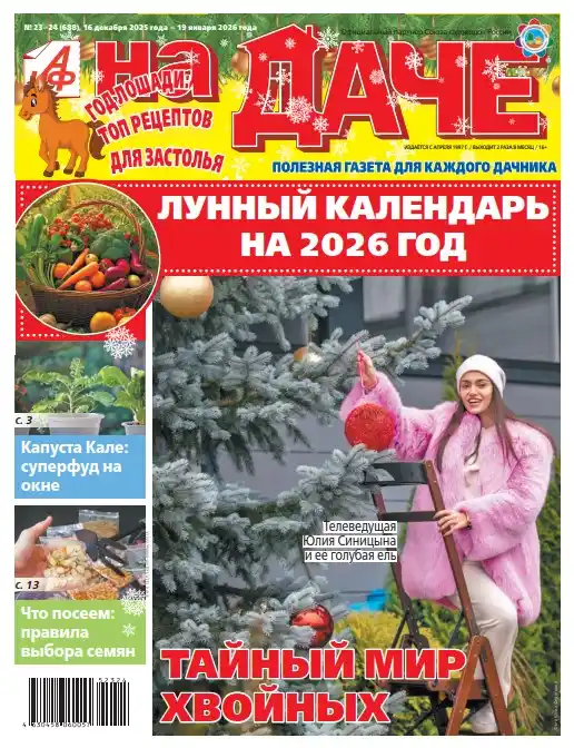 АиФ. На даче №23-24 / 2025