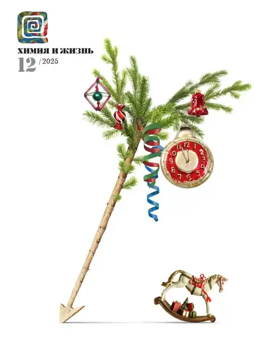 Химия и жизнь №12 / 2025