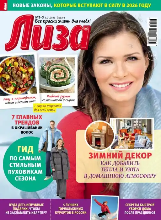 Лиза №2-3 / 2026