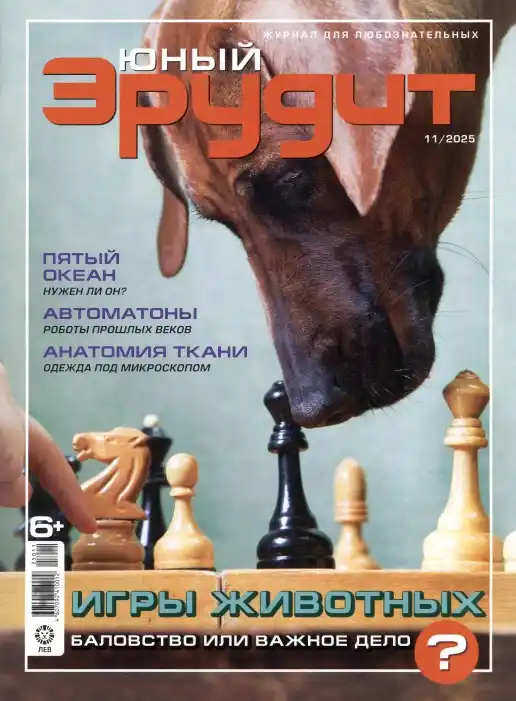 Юный эрудит №11 / 2025