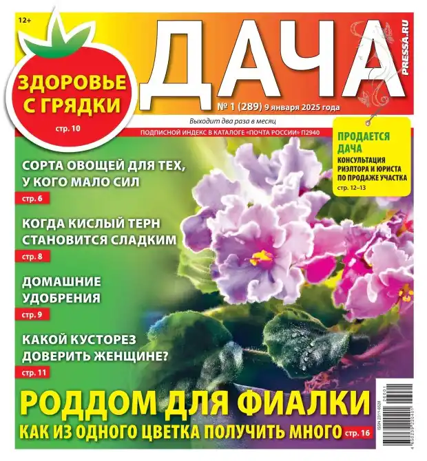 Дача №01 / 2026