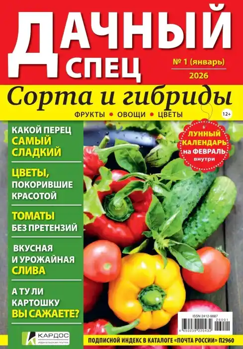 Дачный спец №1 / 2026