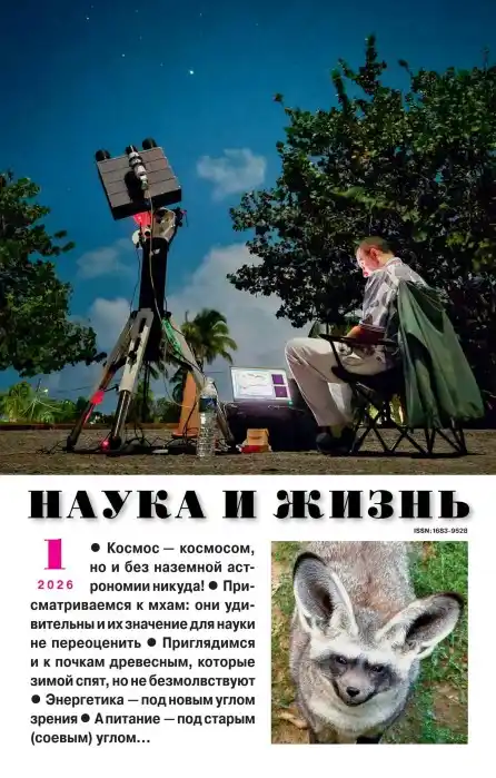 Наука и жизнь №1 / 2026