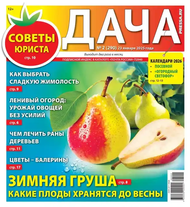 Дача №2 / 2026