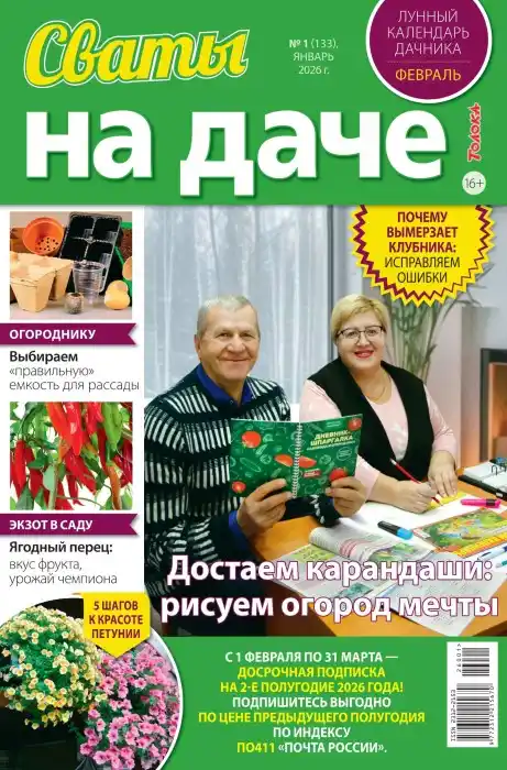 Сваты на даче №2 / 2026