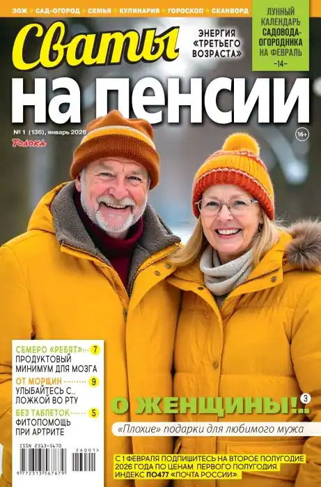 Сваты на пенсии №2 / 2026