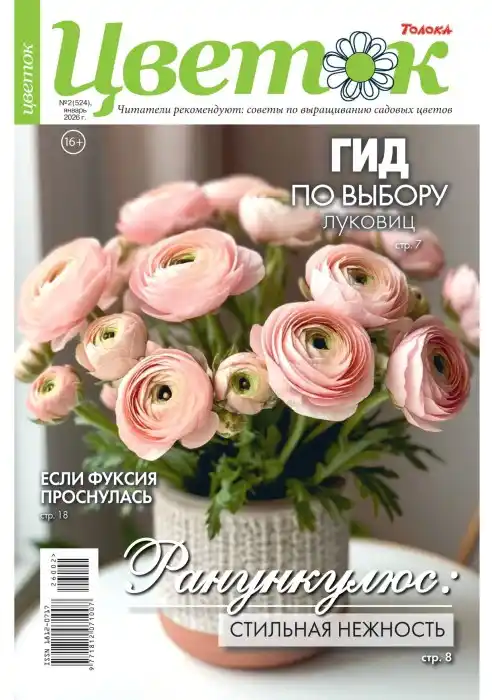 Цветок №02 / 2026