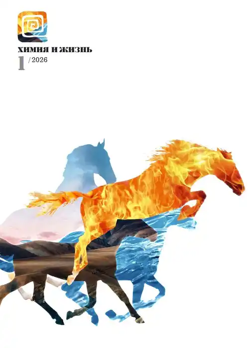 Химия и жизнь №1 / 2026