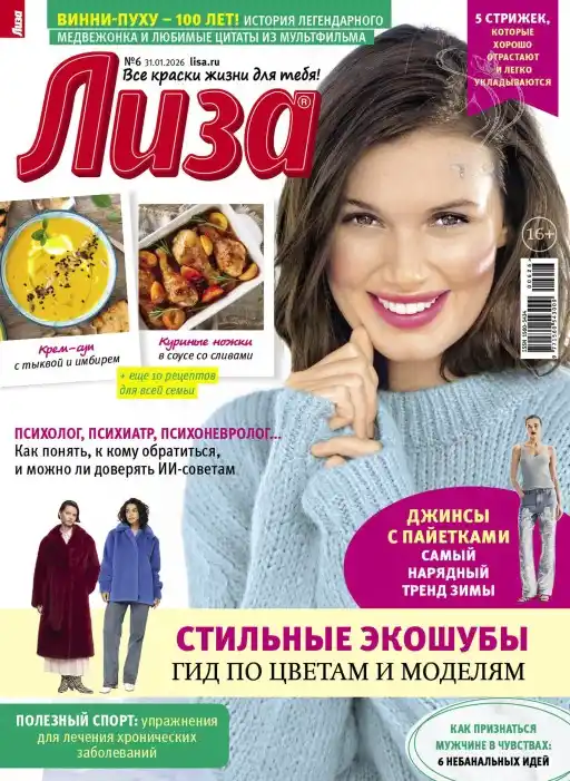 Лиза №6 / 2026
