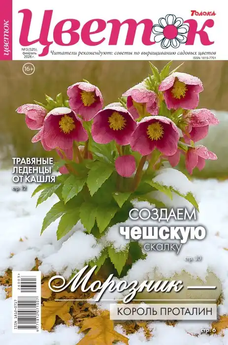 Цветок №3 / 2026