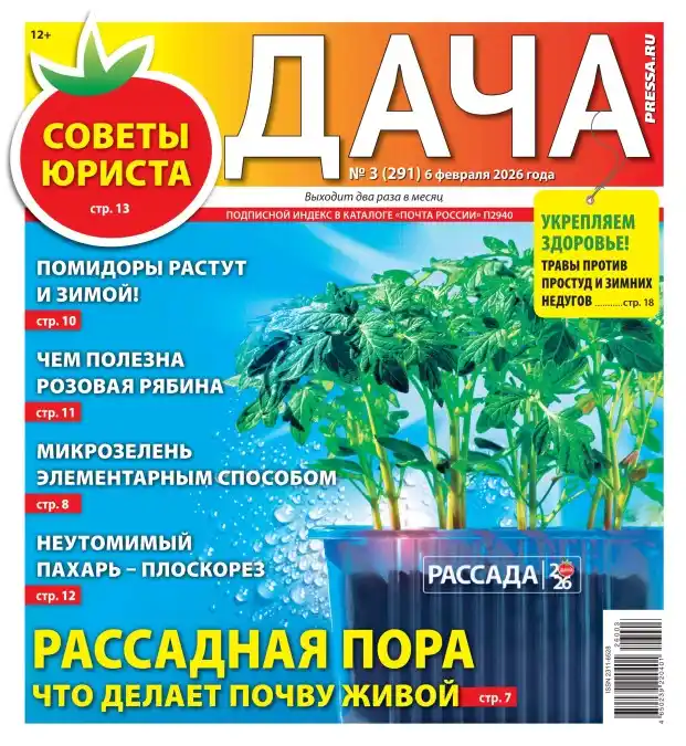 Дача №3 / 2026