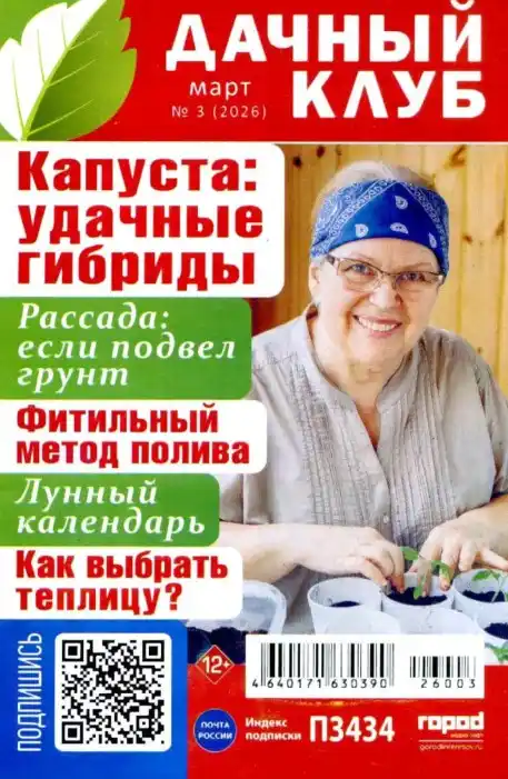 Дачный клуб №3 / 2026