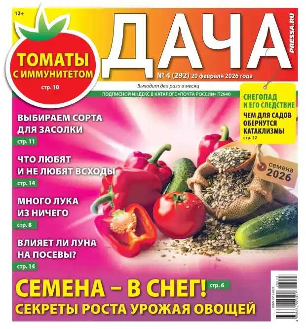 Дача №4 / 2026