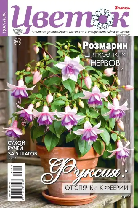 Цветок №4 / 2026