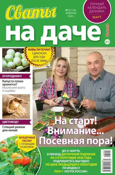 Сваты на даче  №2 / 2026