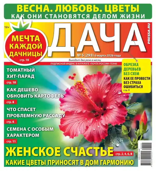 Дача №5 / 2026