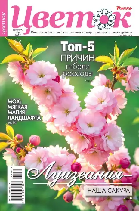 Цветок №5 / 2026