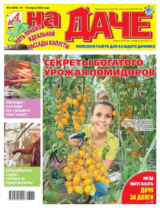 АиФ. Здоровье №5 / 2026