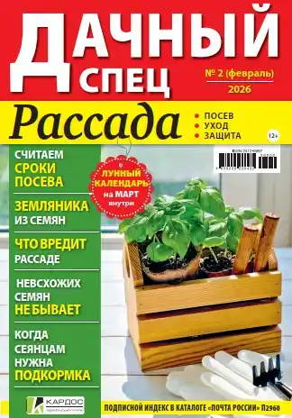 Дачный спец №2 /2026