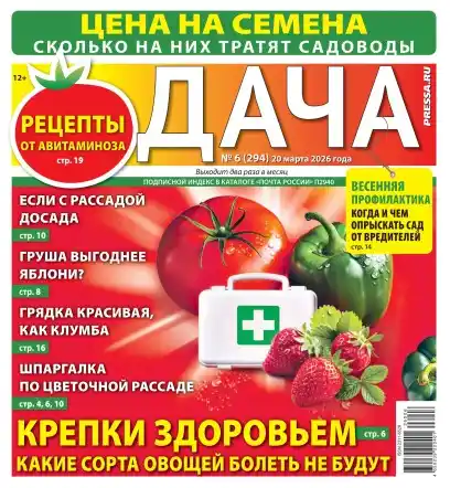 Дача №6 / 2026