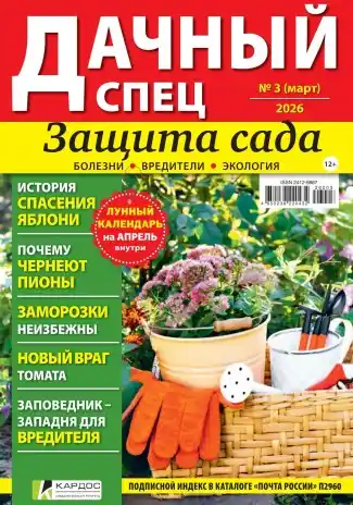 Дачный спец №3 / 2026