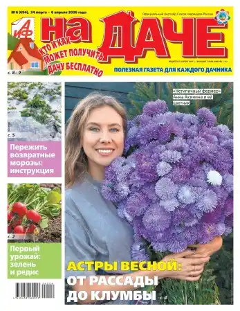 АиФ. На даче №6 / 2026
