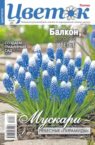 Цветок №6 / 2026