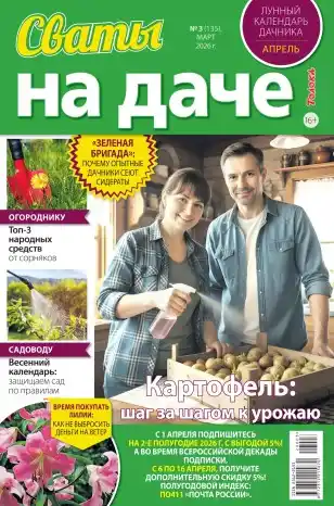 Сваты на даче №3 / 2026