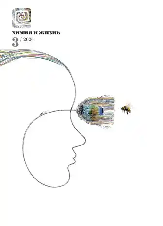 Химия и жизнь №3 / 2026