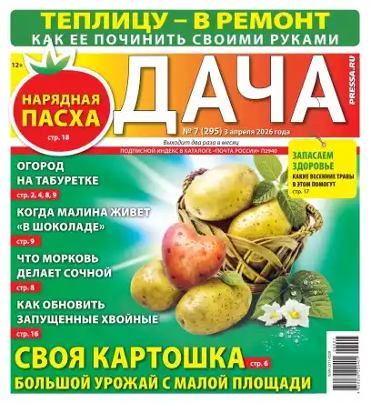 Дача №3 / 2026