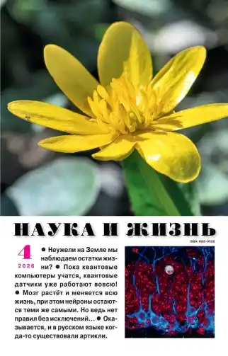 Наука и жизнь №4 / 2026