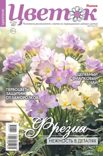 Цветок №7 / 2026