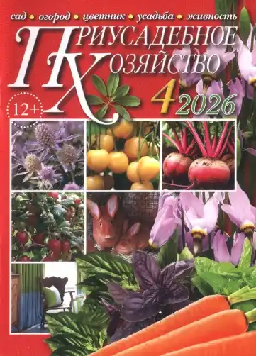 Приусадебное хозяйство №4 / 2026