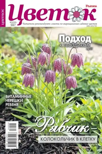 Цветок №8 / 2026