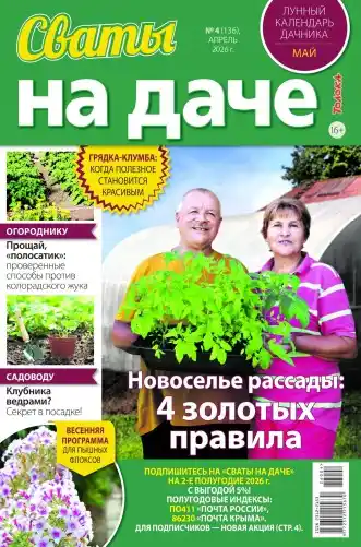 Сваты на даче №4 / 2026