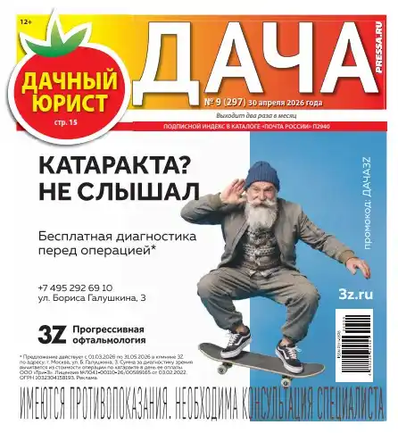 Дача №9 / 2026