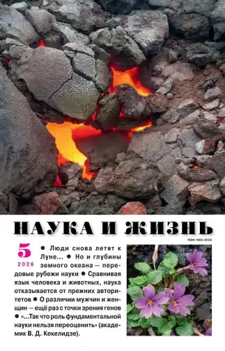Наука и жизнь №5 / 2026