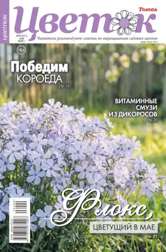 Цветок №9 / 2026