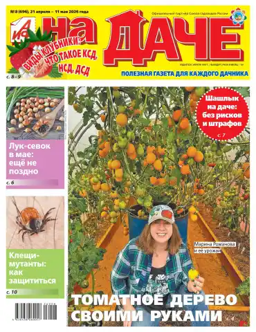 АиФ. На даче №8 / 2026