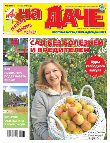 АиФ. На даче №9 / 2026