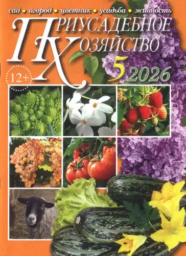 Приусадебное хозяйство №5 / 2026
