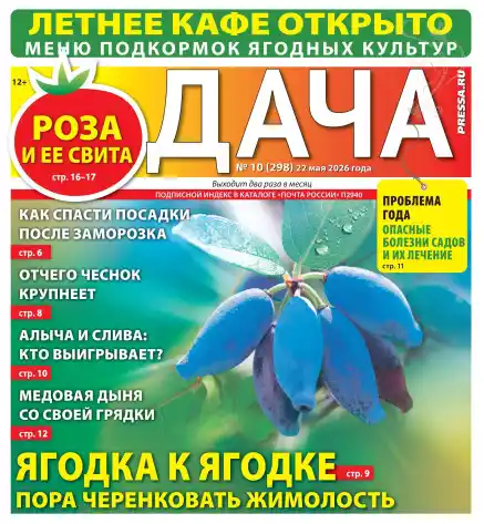 Дача №10 / 2026