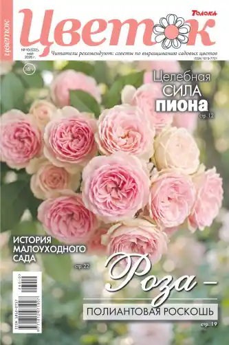 Цветок №10 / 2026