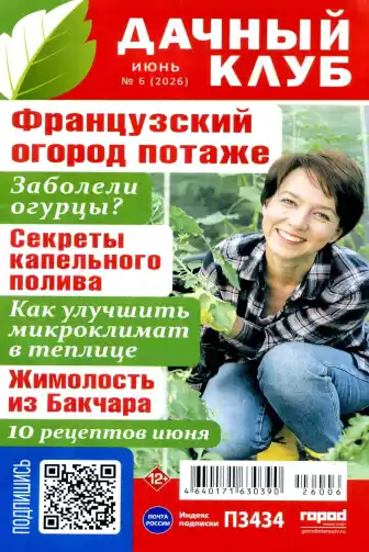 Дачный клуб №6 / 2026