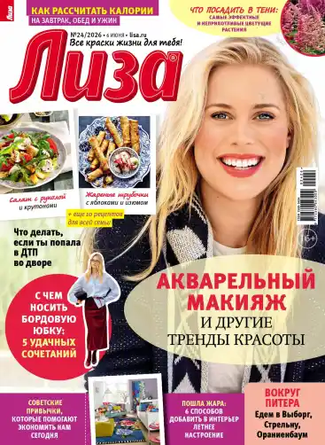 Лиза №24 / 2026