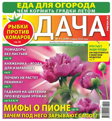 Дача №11 / 2026