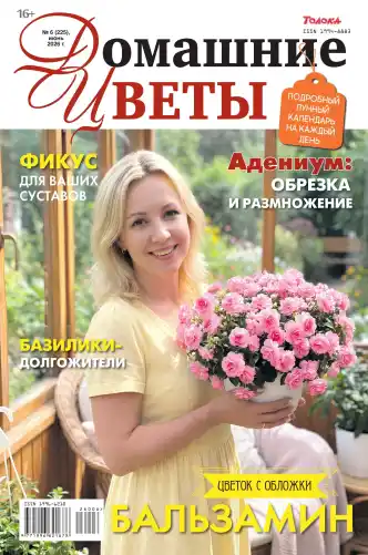 Домашние цветы №6 / 2026