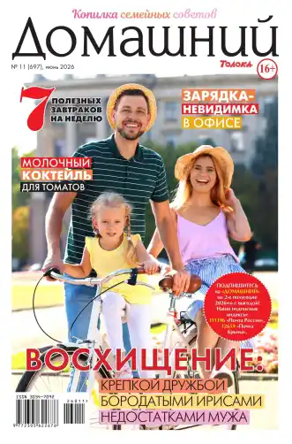 Домашний №11 / 2026